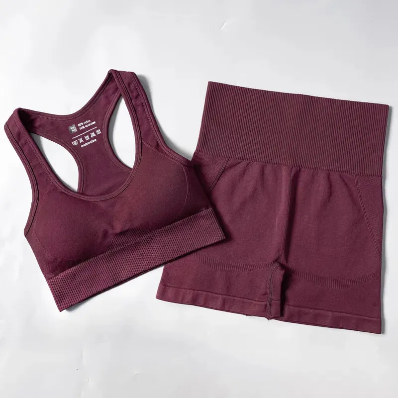 Women Gym Clothes Sportswear Yoga Suits