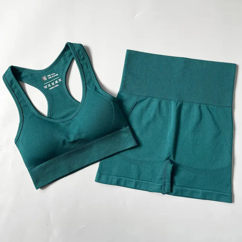 Women Gym Clothes Sportswear Yoga Suits